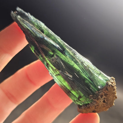 Vivianite Crystal Specimen 22.78g, AAA Terminated Vivianite Crystal, Raw Blue