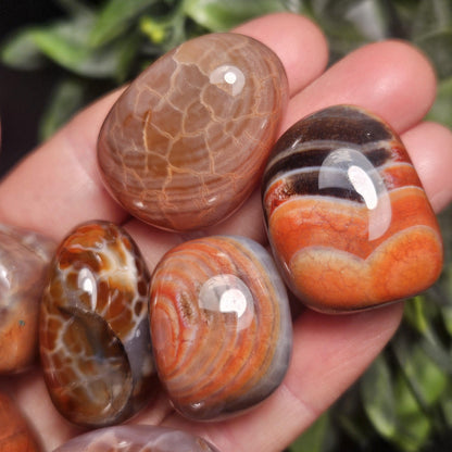 Snakeskin Carnelian Crystal (1")