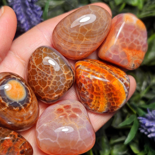 Snakeskin Carnelian Crystal (1")