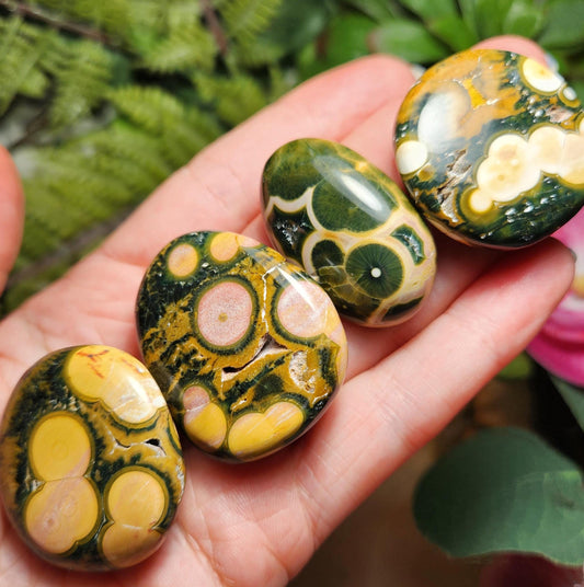 Orbicular Ocean Jasper Specimen from Kabamby – Polished Madagascar Coral Fossil Stone (1.25