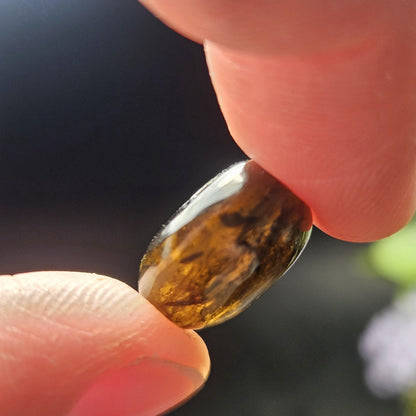 Cognac Tourmaline Crystal, Polished Dravite