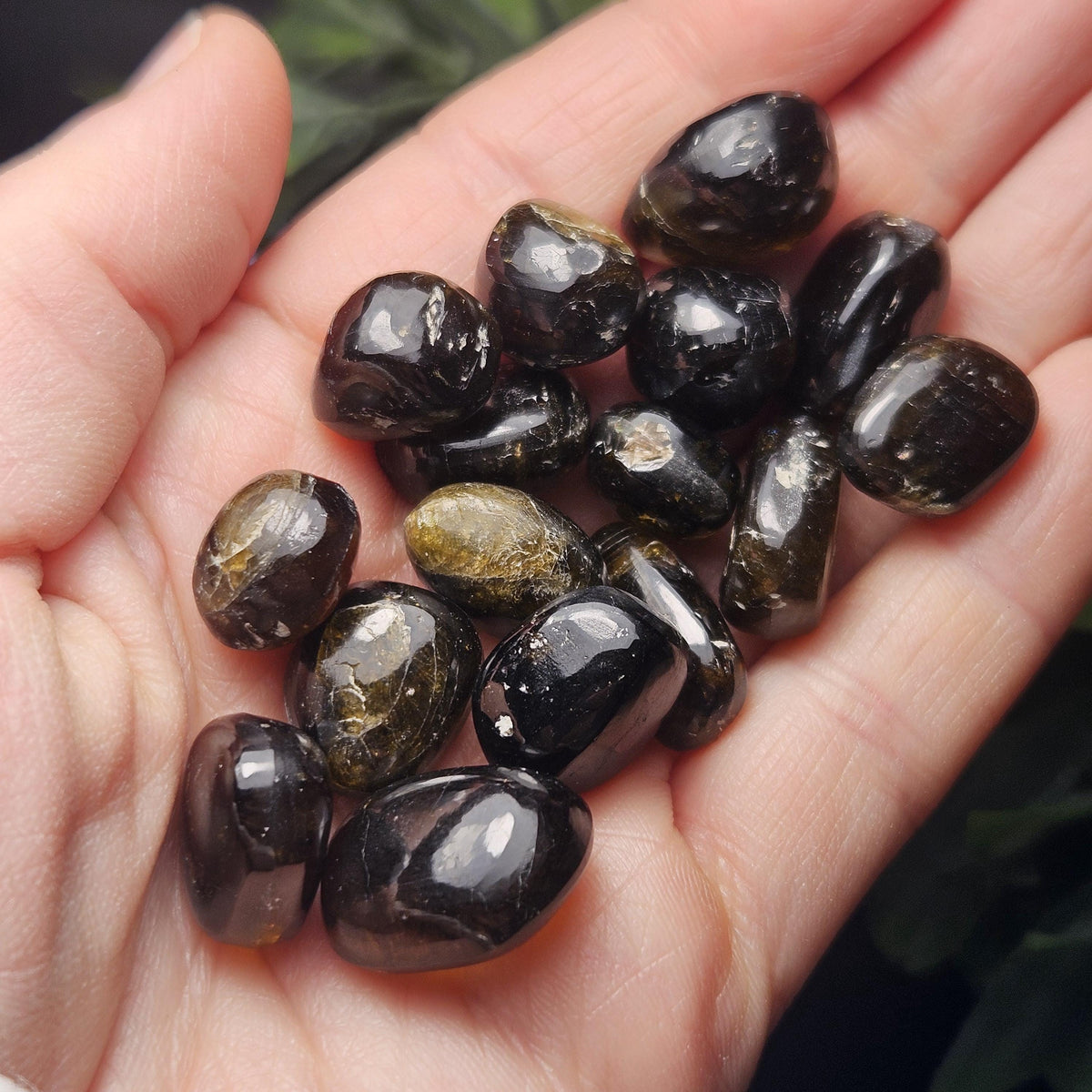 Cognac Tourmaline Crystal, Polished Dravite