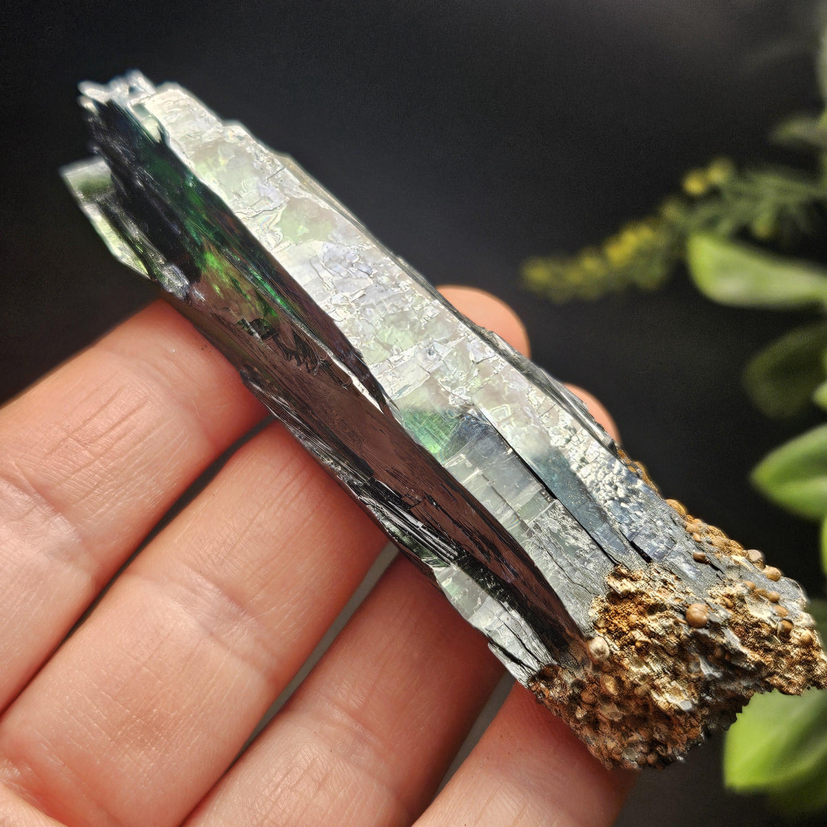Vivianite Crystal Cluster Specimen 37.43g
