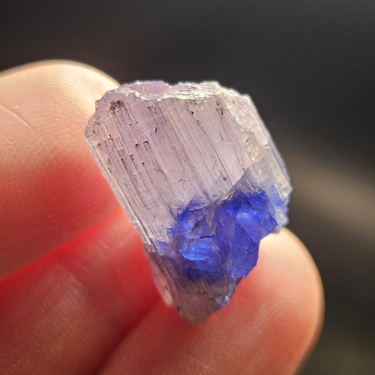 Bi