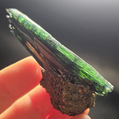 Vivianite Dragon Scale Crystal Specimen 29.30g