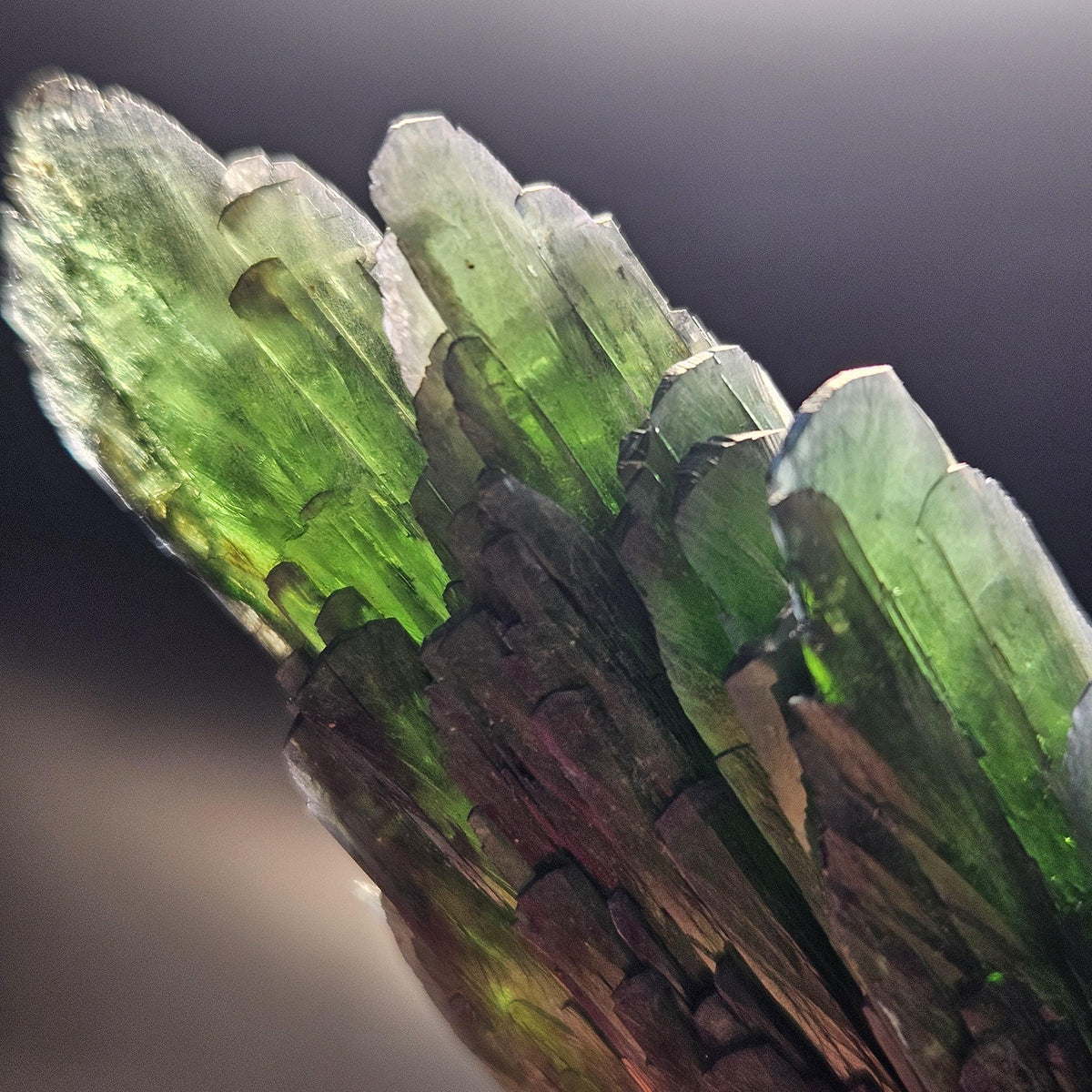 Vivianite Crystal Specimen