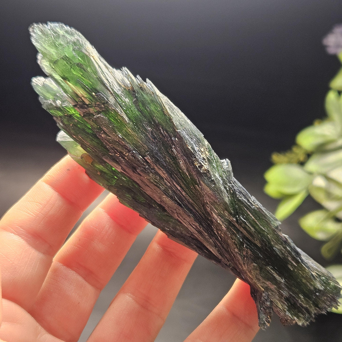 Vivianite Crystal Specimen