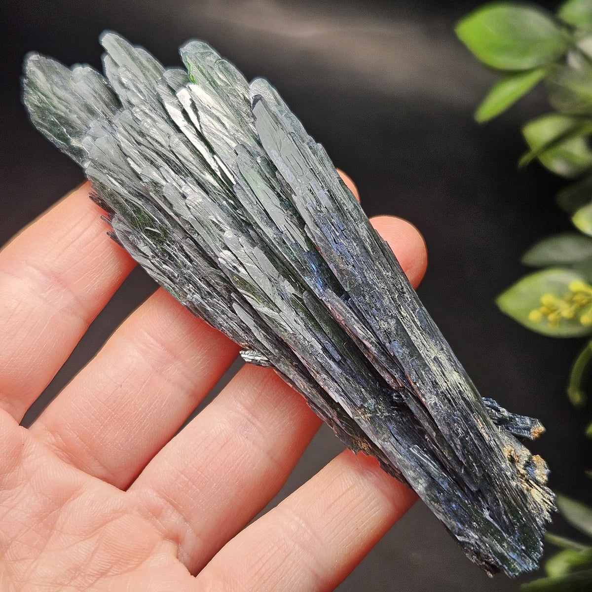 Vivianite Crystal Specimen