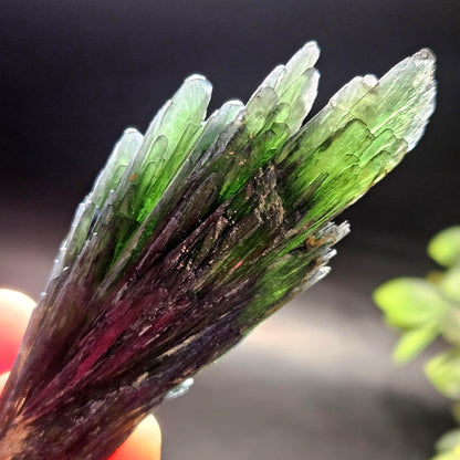 Vivianite Crystal Specimen
