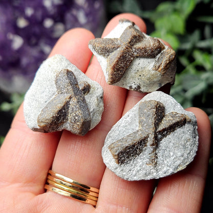May include: Three brown and gray starburst crystals on a gray background.