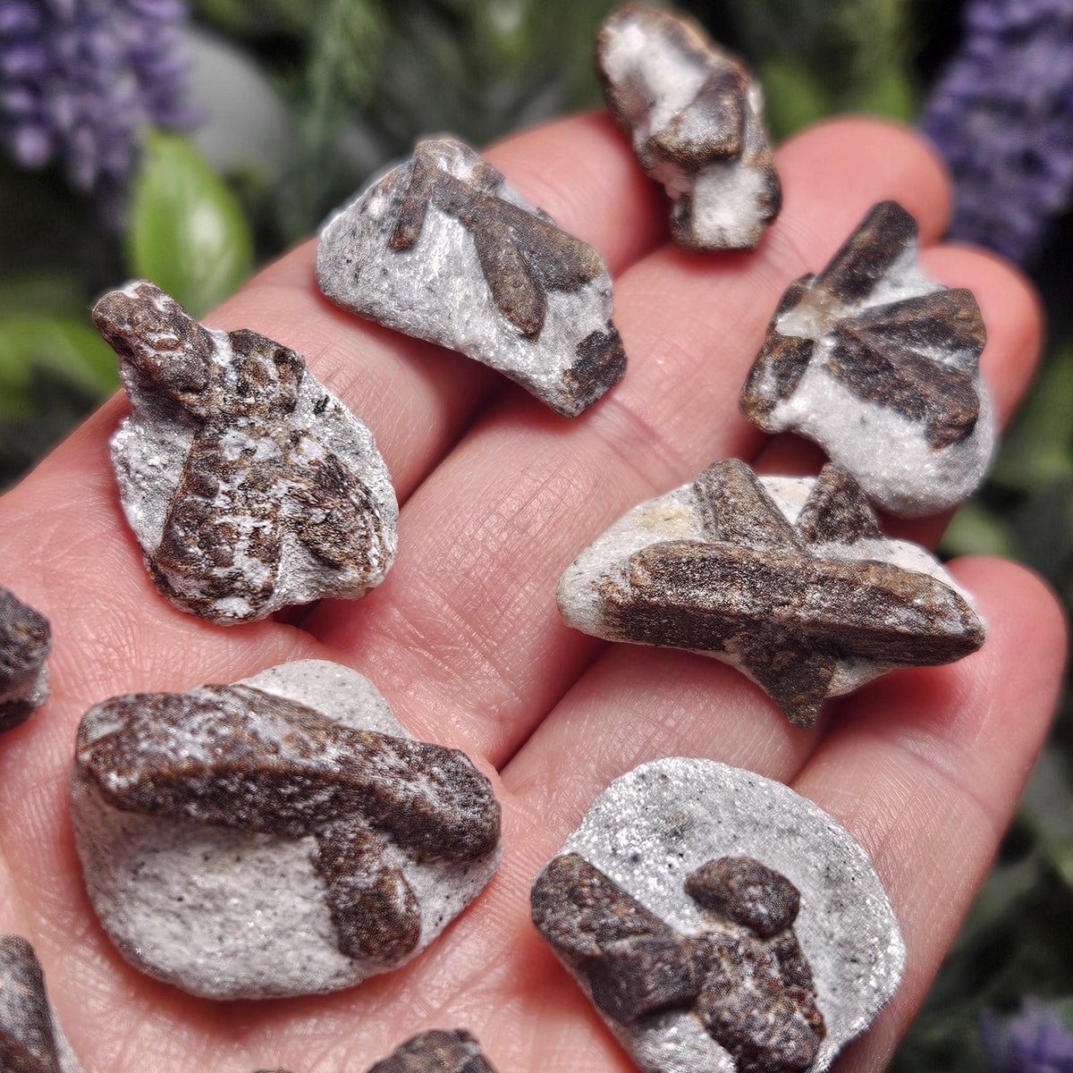 Raw Staurolite Crystal, Natural Fairy Cross Stone Specimen