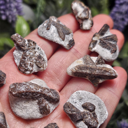 Raw Staurolite Crystal, Natural Fairy Cross Stone Specimen