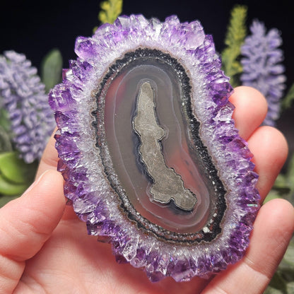 AAA Uruguay Amethyst Stalactite Slice (75 x 55mm)