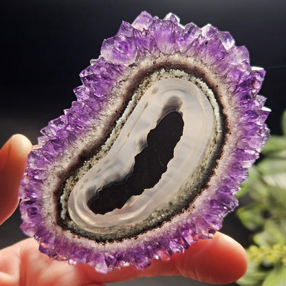 AAA Uruguay Amethyst Stalactite Slice (75 x 55mm)
