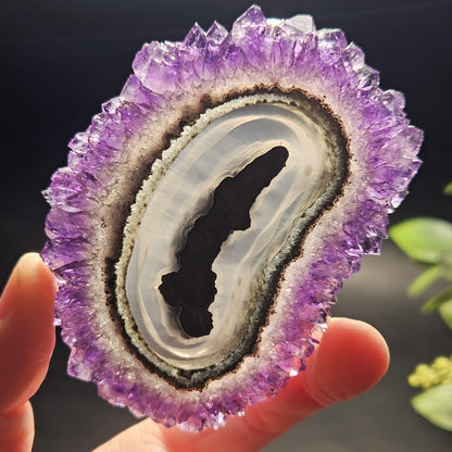 AAA Uruguay Amethyst Stalactite Slice (75 x 55mm)