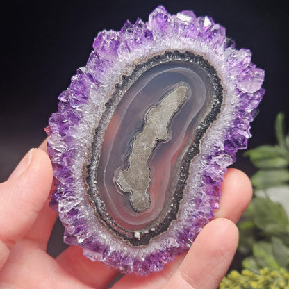 AAA Uruguay Amethyst Stalactite Slice (75 x 55mm)