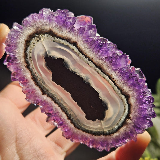 AAA Uruguay Amethyst Stalactite Slice (75 x 55mm)