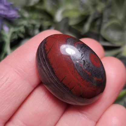 Red Tiger Iron from South Africa
