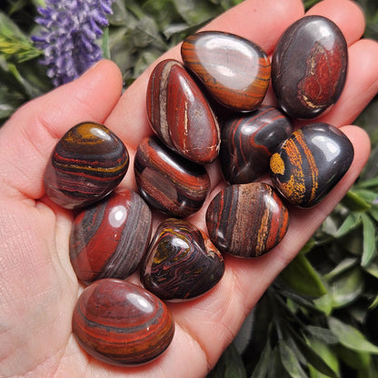 Red Tiger Iron from South Africa