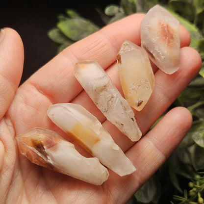 Angel Phantom Quartz, Raw Brazilian Amphibole Crystal Point, Choose Your Size