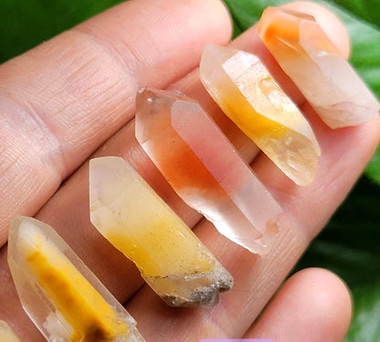 Amphibole Angel Phantom Quartz, Raw Brazilian Crystal Point, Amphibole Crystals