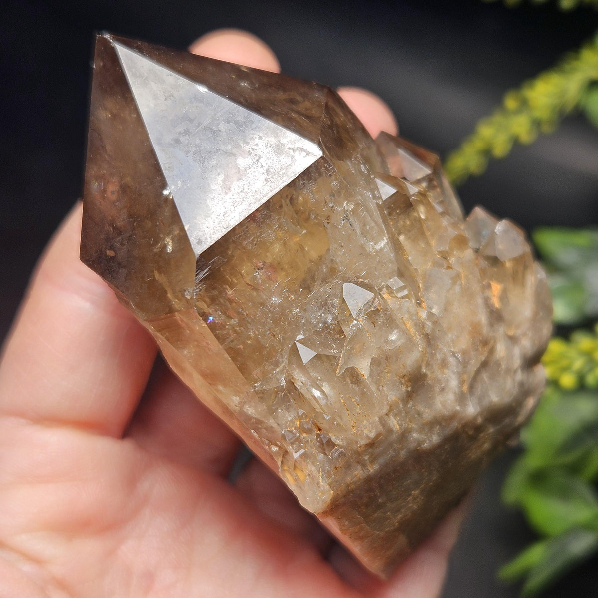 Kundalini Congo Citrine Quartz Cluster 196g, Smoky Citrine Crystal Multi