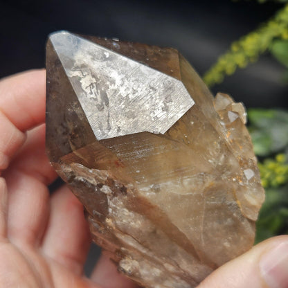 Kundalini Congo Citrine Quartz Cluster 196g, Smoky Citrine Crystal Multi
