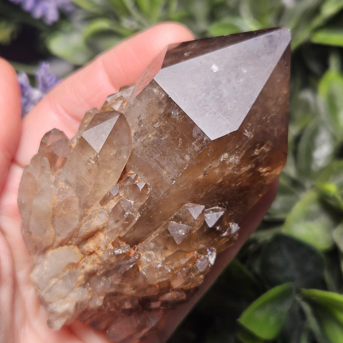 Kundalini Congo Citrine Quartz Cluster 196g, Smoky Citrine Crystal Multi