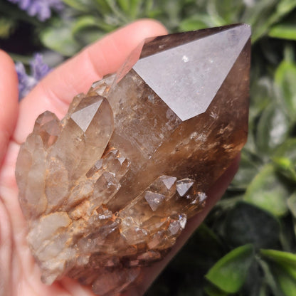 Kundalini Congo Citrine Quartz Cluster 196g, Smoky Citrine Crystal Multi