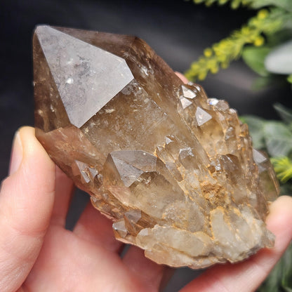 Kundalini Congo Citrine Quartz Cluster 196g, Smoky Citrine Crystal Multi