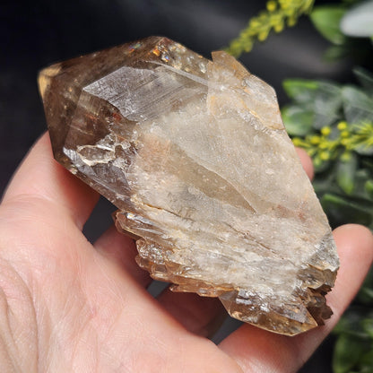 Kundalini Congo Citrine Quartz Cluster 196g, Smoky Citrine Crystal Multi