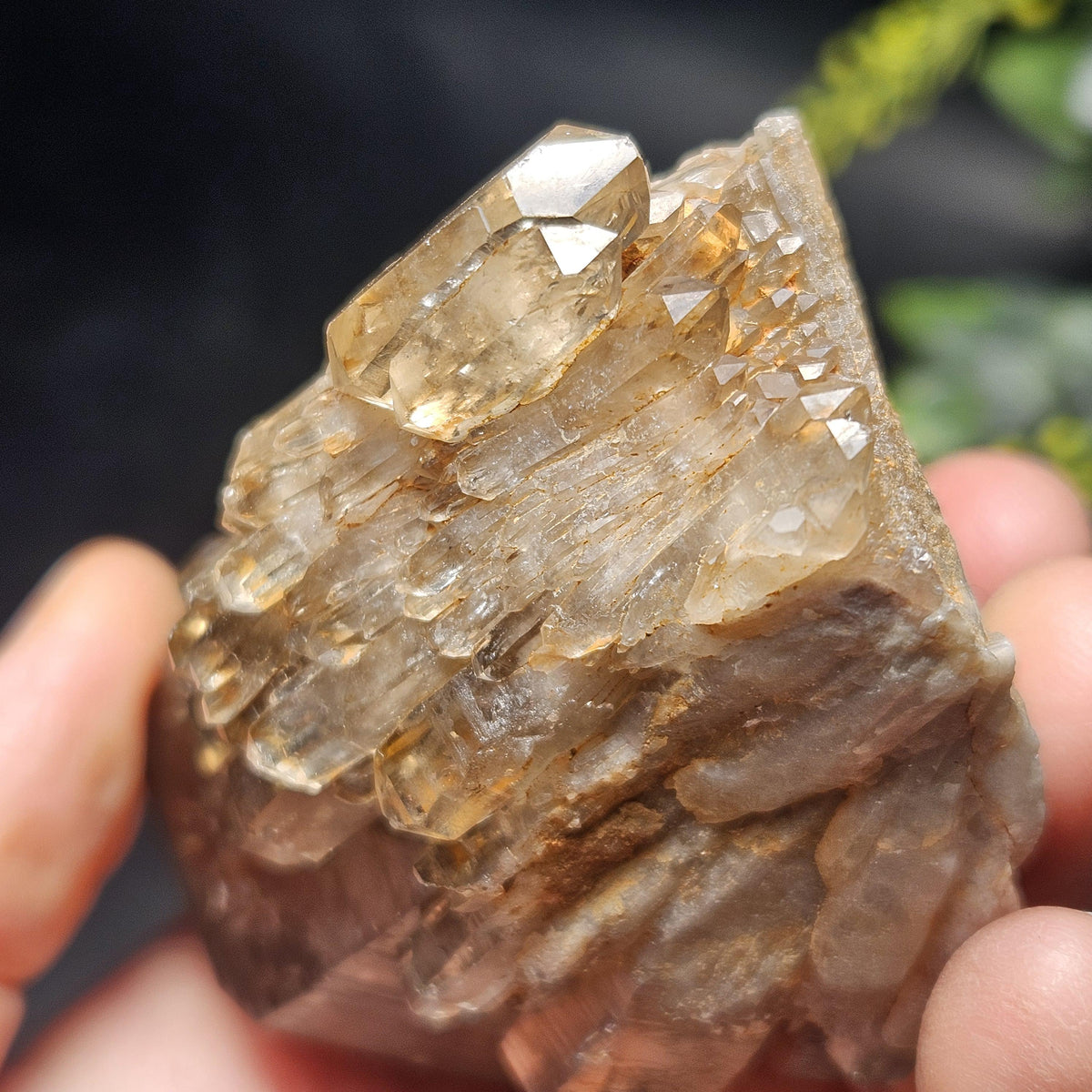 Kundalini Congo Citrine Quartz Cluster 196g, Smoky Citrine Crystal Multi