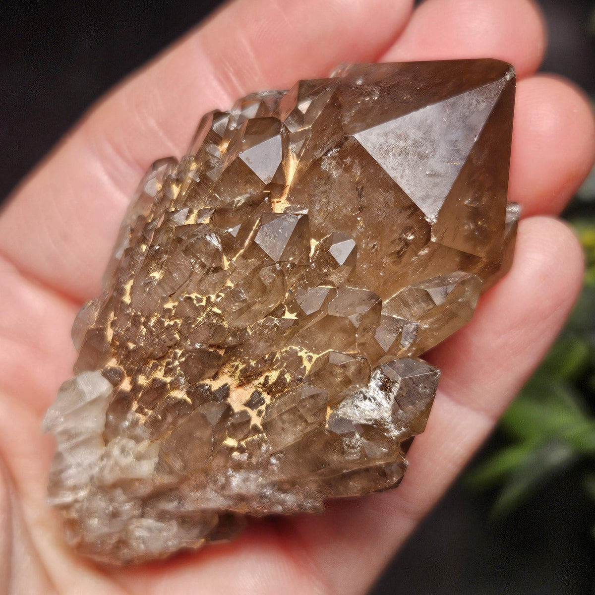 Kundalini Congo Citrine Quartz Cluster 102g, Smoky Citrine Crystal Multi