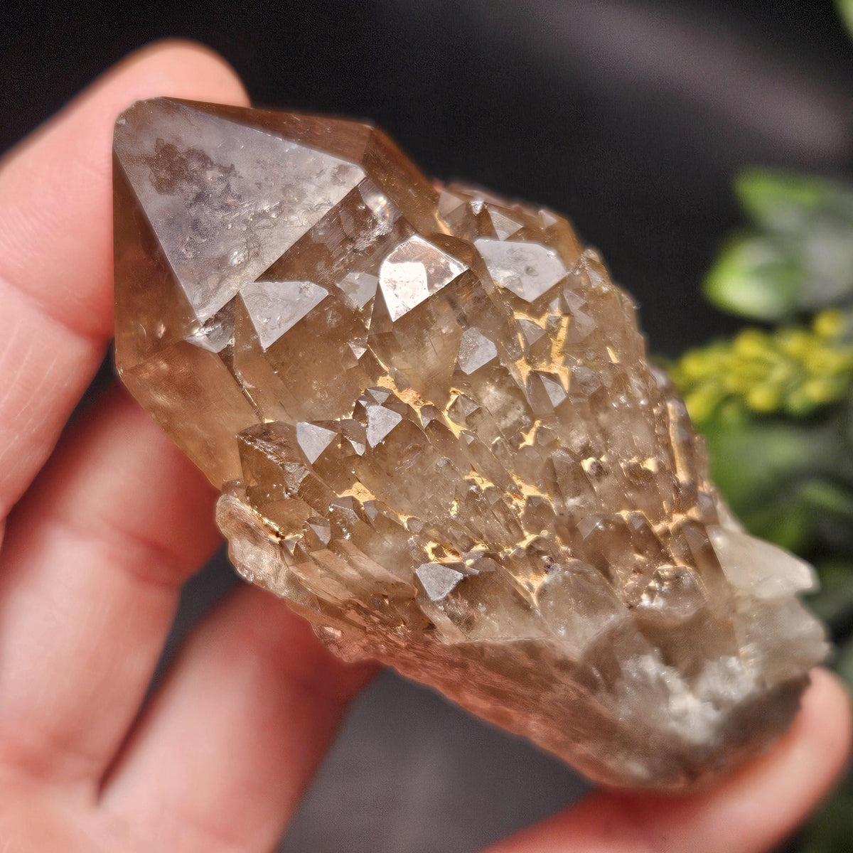 Kundalini Congo Citrine Quartz Cluster 102g, Smoky Citrine Crystal Multi