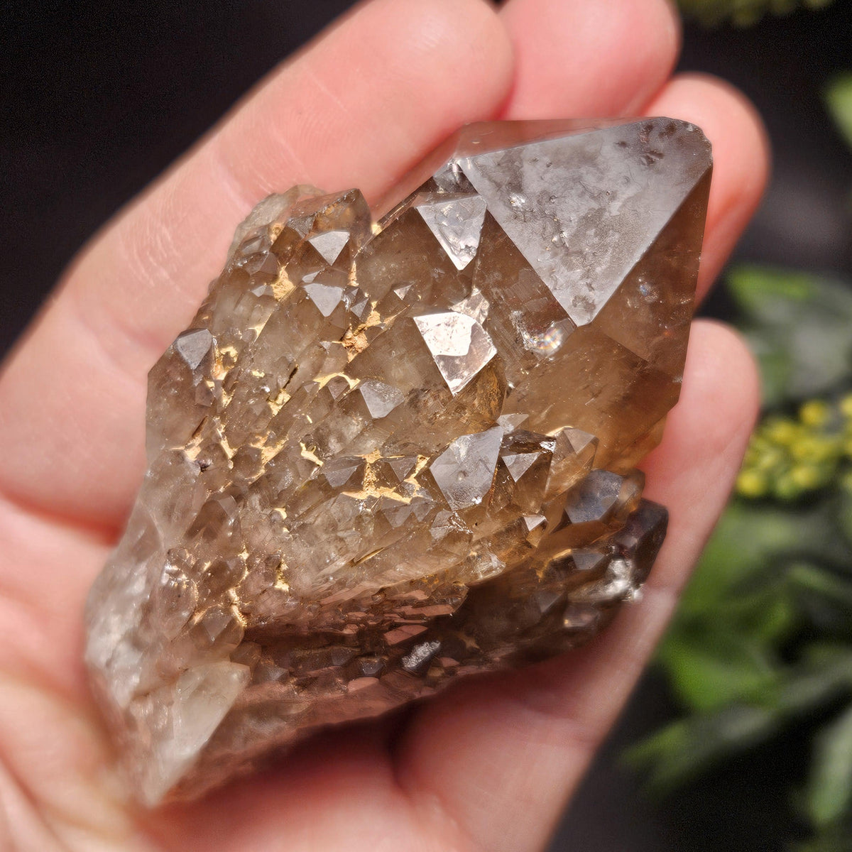 Kundalini Congo Citrine Quartz Cluster 102g, Smoky Citrine Crystal Multi