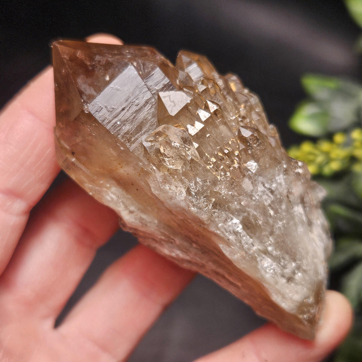 Kundalini Congo Citrine Quartz Cluster 102g, Smoky Citrine Crystal Multi