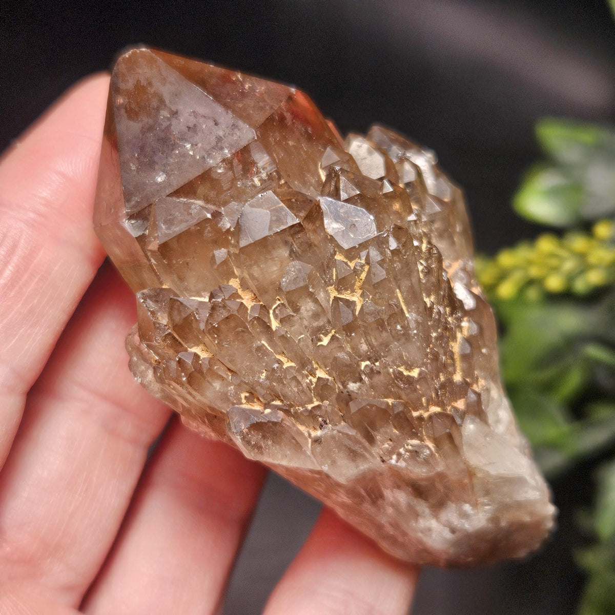 Kundalini Congo Citrine Quartz Cluster 102g, Smoky Citrine Crystal Multi