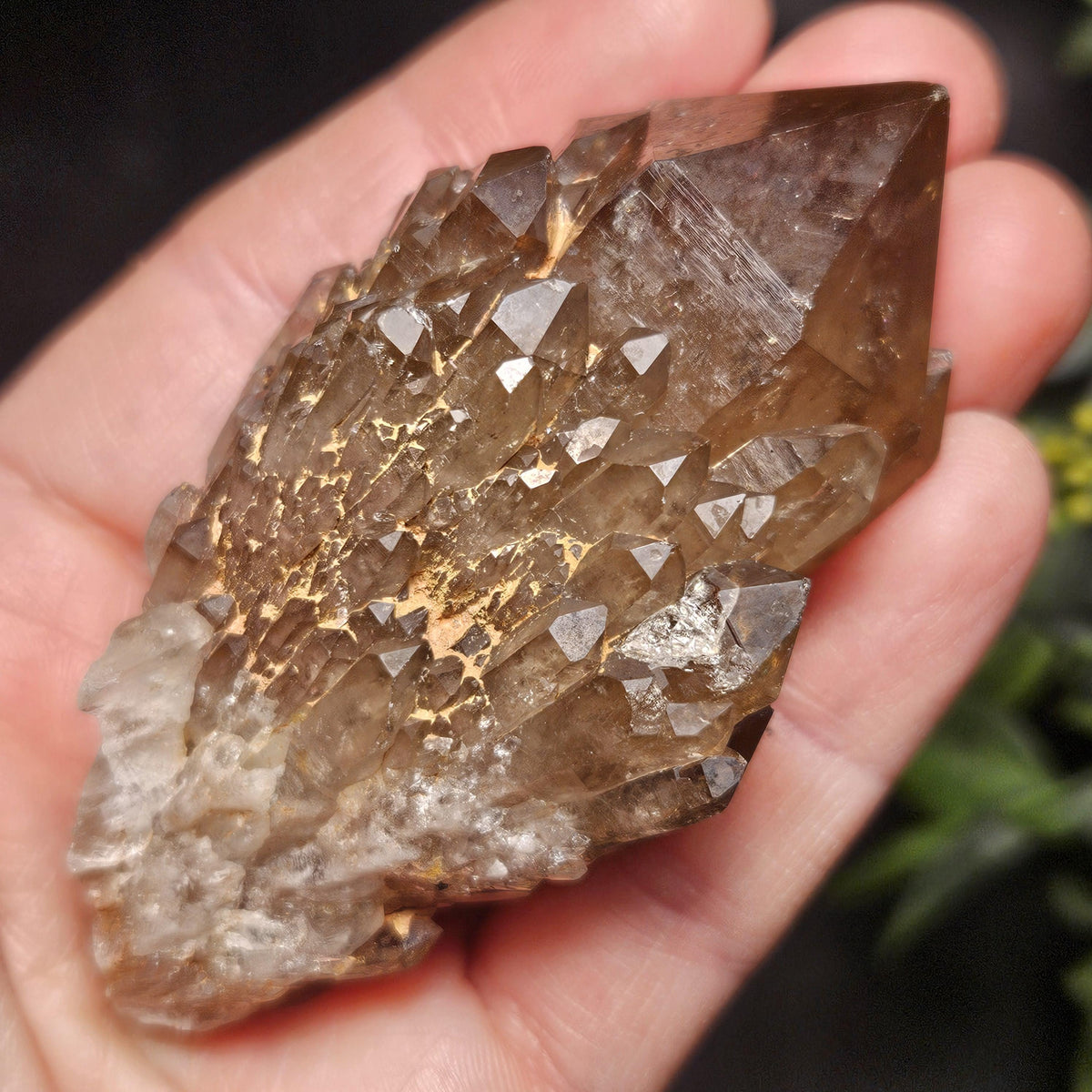 Kundalini Congo Citrine Quartz Cluster 102g, Smoky Citrine Crystal Multi
