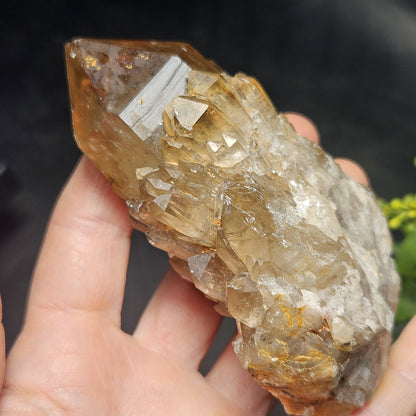 Kundalini Congo Citrine Quartz Cluster 213g, Smoky Citrine Crystal Multi