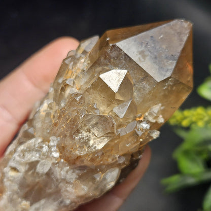 Kundalini Congo Citrine Quartz Cluster 213g, Smoky Citrine Crystal Multi