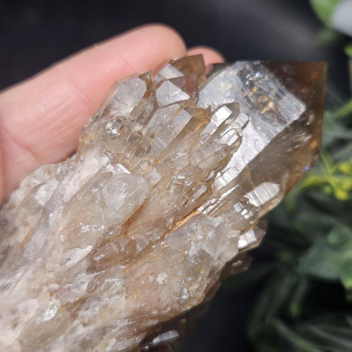 Kundalini Congo Citrine Quartz Cluster 213g, Smoky Citrine Crystal Multi