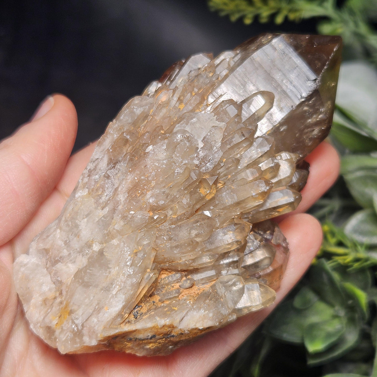 Kundalini Congo Citrine Quartz Cluster 213g, Smoky Citrine Crystal Multi