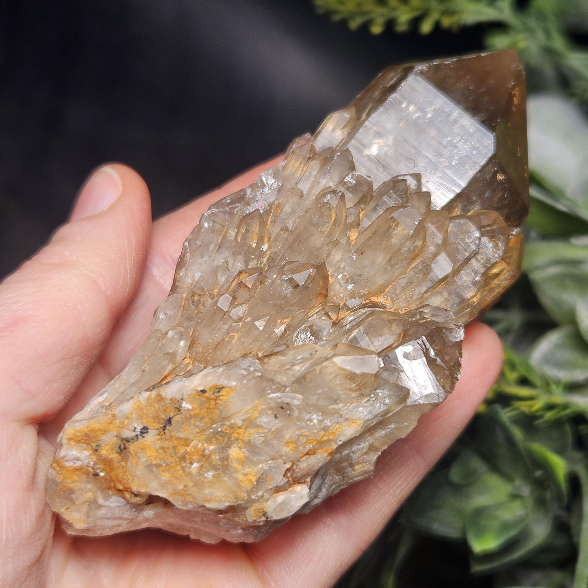 Kundalini Congo Citrine Quartz Cluster 213g, Smoky Citrine Crystal Multi