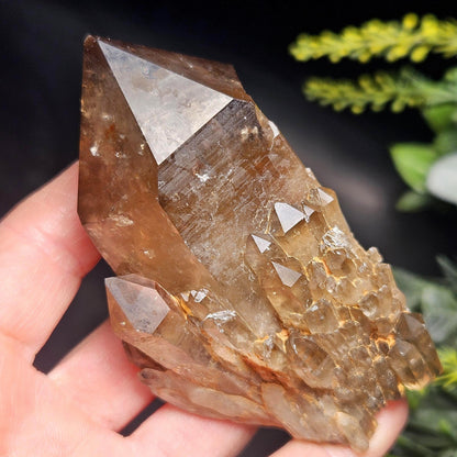 Kundalini Congo Citrine Quartz Cluster 196g, Smoky Citrine Crystal Multi