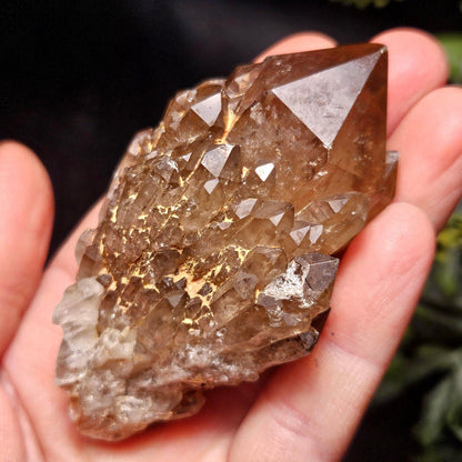 Kundalini Congo Citrine Quartz Cluster 102g, Smoky Citrine Crystal Multi