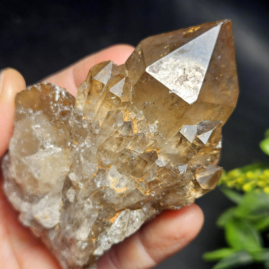 Kundalini Congo Citrine Quartz Cluster 213g, Smoky Citrine Crystal Multi