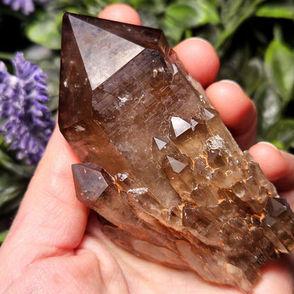 Kundalini Congo Citrine Quartz Cluster 196g, Smoky Citrine Crystal Multi