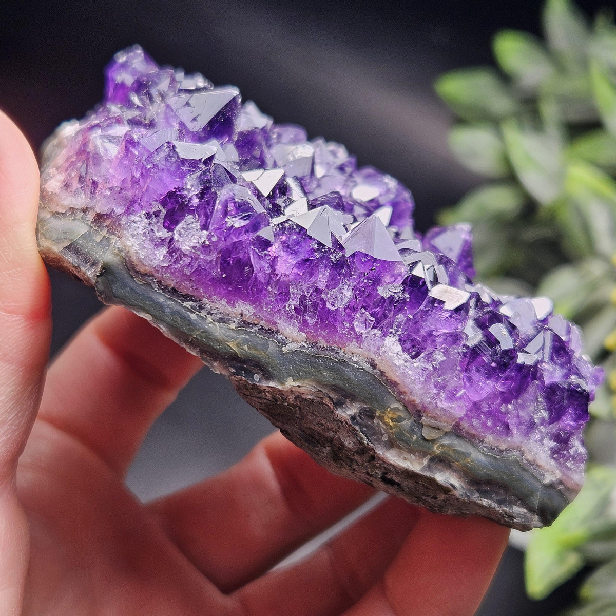 AAA Uruguay Amethyst Stalactite Cluster 218g
