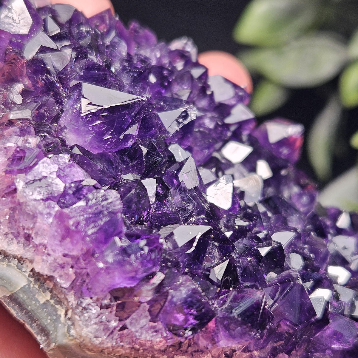 AAA Uruguay Amethyst Stalactite Cluster 218g