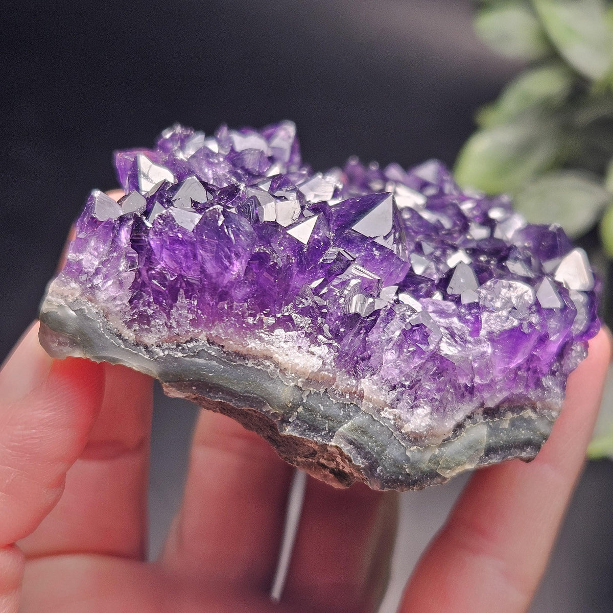 AAA Uruguay Amethyst Stalactite Cluster 218g